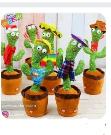 کاکتوس رقصنده استرالیایی هیو